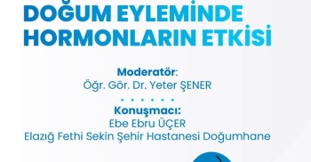 Doğum Eyleminde Hormonların Etkisi